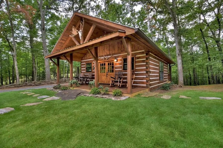 4011 Murphy Hwy, Mineral Bluff, GA 30559 - #2