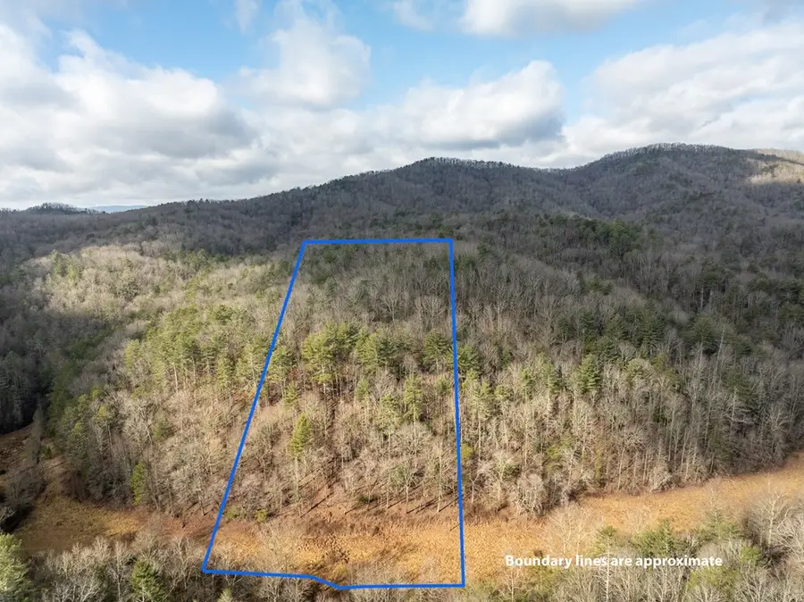 TR 3B Wolf Pen Gap Road, Ellijay, GA 30540 - #3