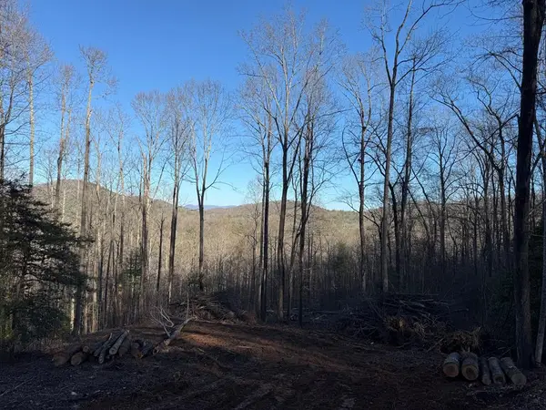 na Wildwood Trail, Blairsville, GA 30512