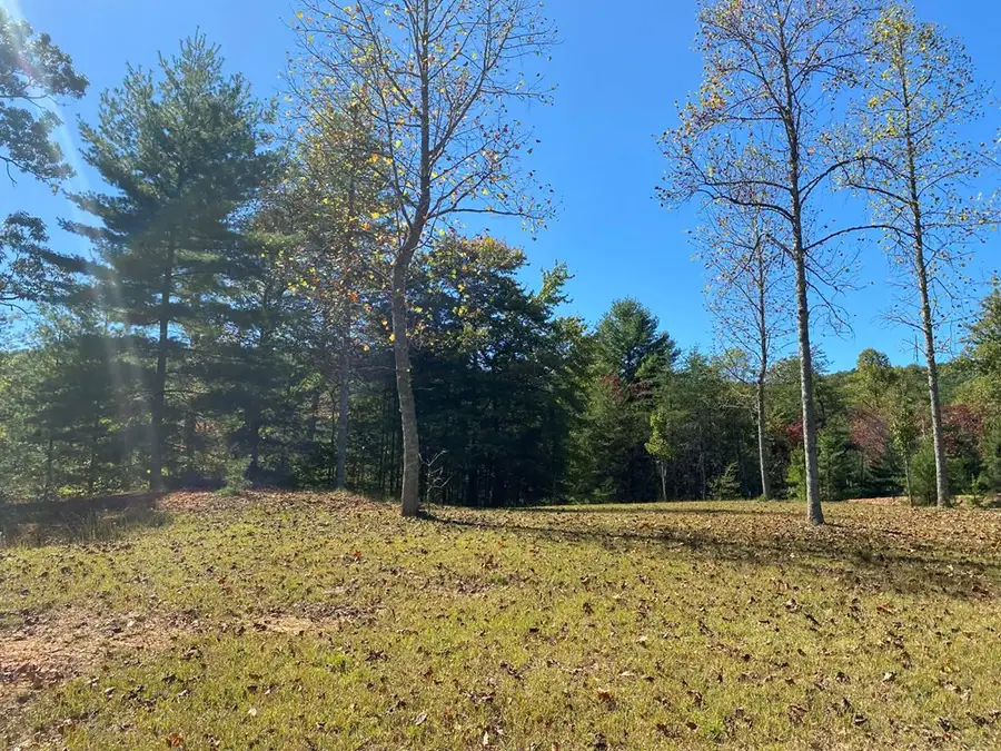 Lot 60 Laurel Brooke, Blairsville, GA 30512 - Image #3