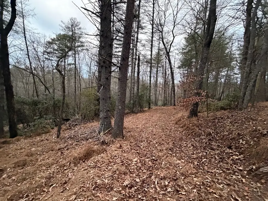 Lot 10 Williams Branch Drive, Morganton, GA 30560 - Image #2