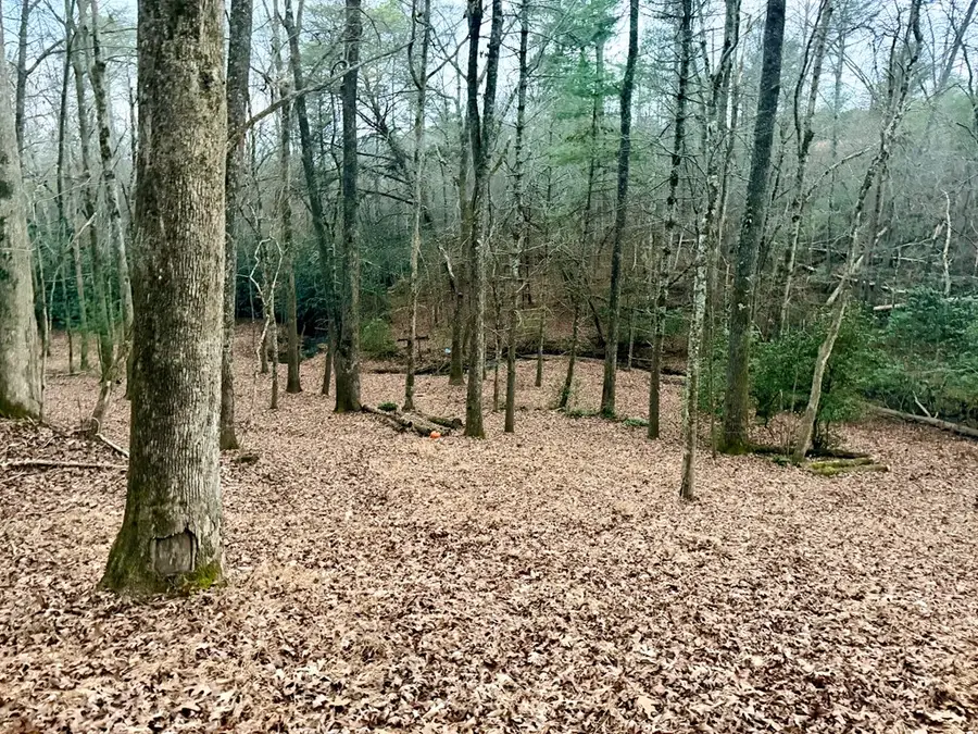 Lot 10 Williams Branch Drive, Morganton, GA 30560 - Image #3