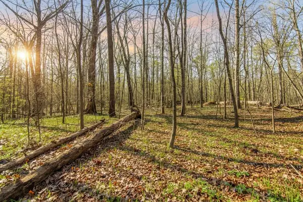 6 Acres Flat Creek Road, Ellijay, GA 30540