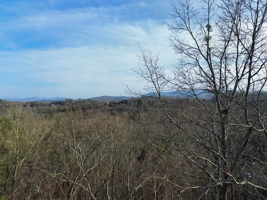 Tract 1 Century Lane, Blue Ridge, GA 30513 - #3