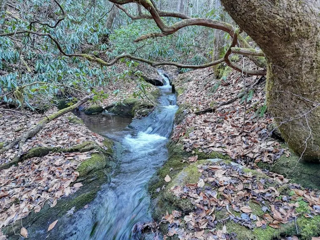 7.69ac Webb Creek Road, Andrews, NC 28901 - Image #1