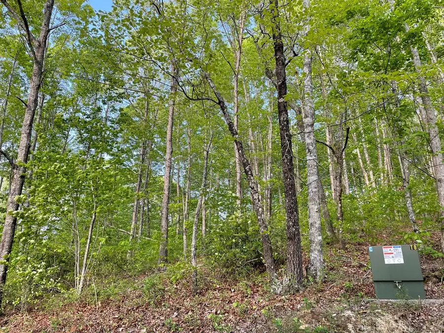 N/A Trillium Heights, Hayesville, NC 28904 - Image #3