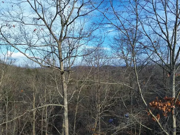 Tract 2 Century Lane, Blue Ridge, GA 30513