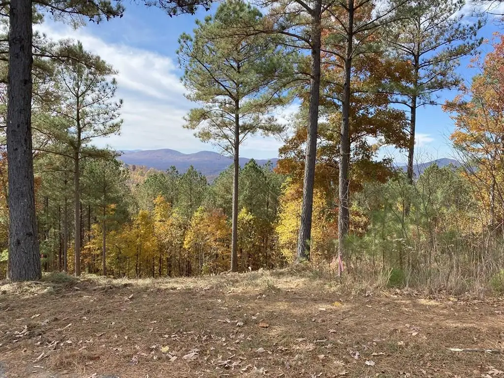 Lot 14 Mile High Lane, Blairsville, GA 30512 - Image #1