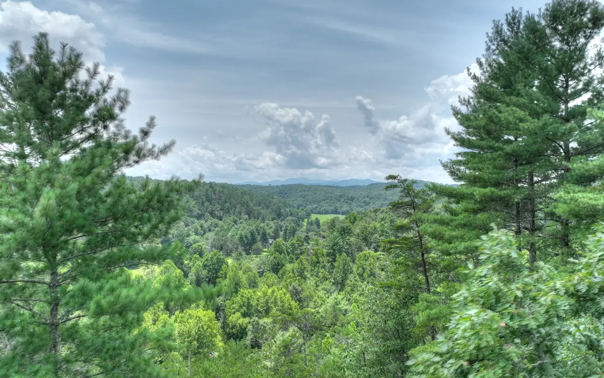 LT 22 Rolling Hills Drive, Morganton, GA 30560 - Image #1