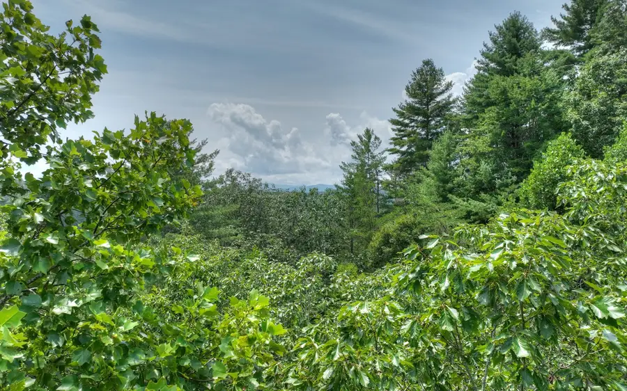 LT 22 Rolling Hills Drive, Morganton, GA 30560 - Image #3