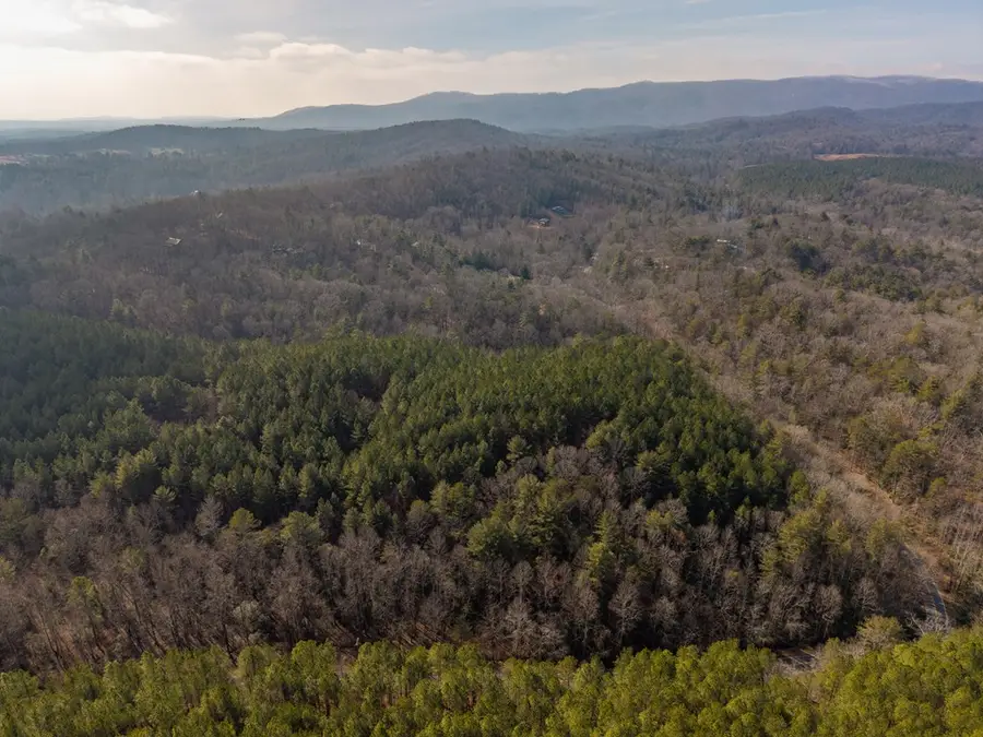 12 ACRE Pleasant Gap Road, Ellijay, GA 30540 - #3