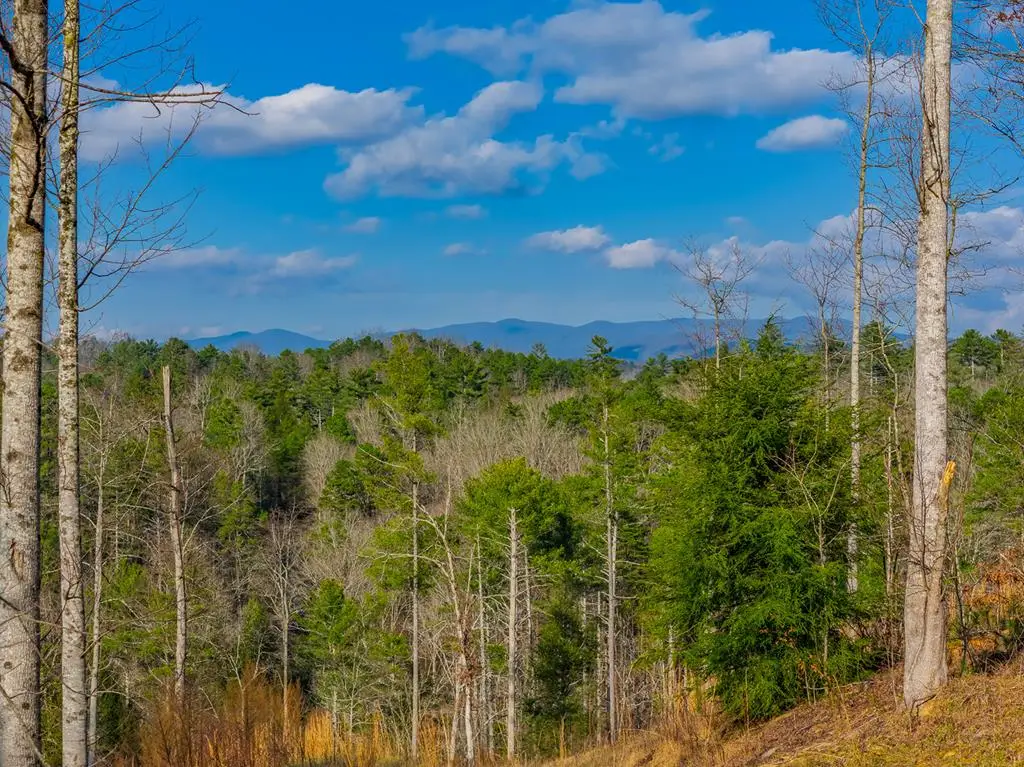 Tract A Hicks Ford Road, Ellijay, GA 30540 - Image #1
