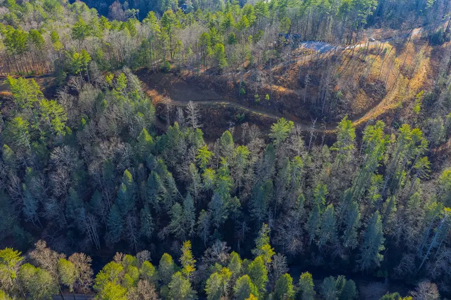 Tract B Hicks Ford Road, Ellijay, GA 30540 - Image #2