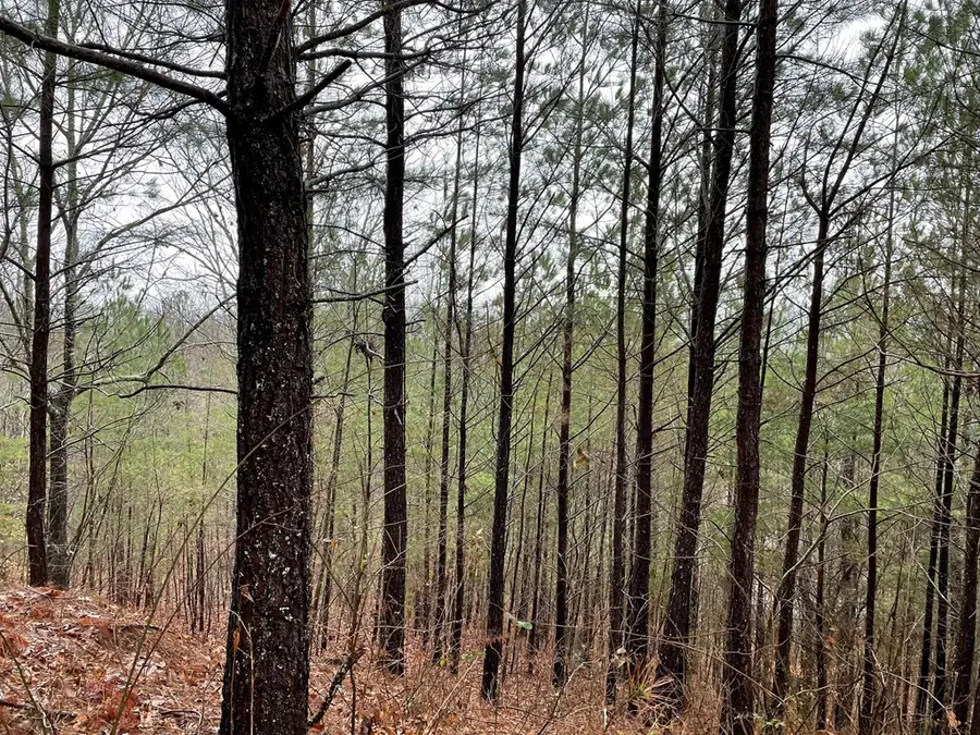 26 Sunset View, Blairsville, GA 30512 - Image #2