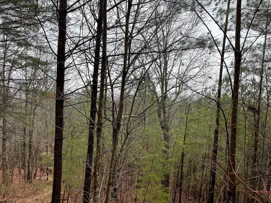 26 Sunset View, Blairsville, GA 30512 - Image #3