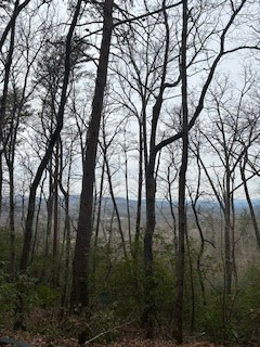 0 Winchester Creek, Young Harris, GA 30582 - Image #2