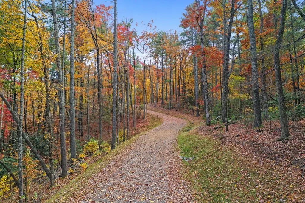 Lot 2 Wilderness Way, Blue Ridge, GA 30513 - Image #1