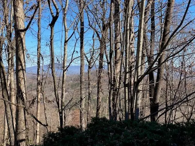 5.91 ac Sunrock Mtn Trace, Blue Ridge, GA 30513 - Image #2