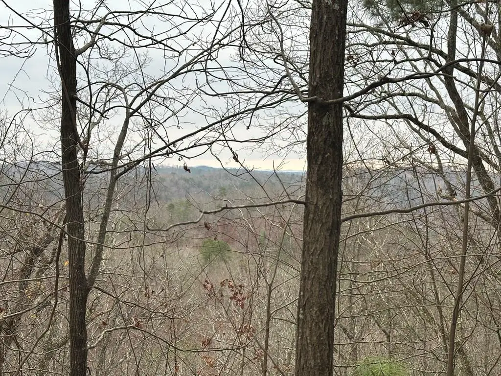 306 Oberlin Court, Ranger, GA 30734 - Image #1