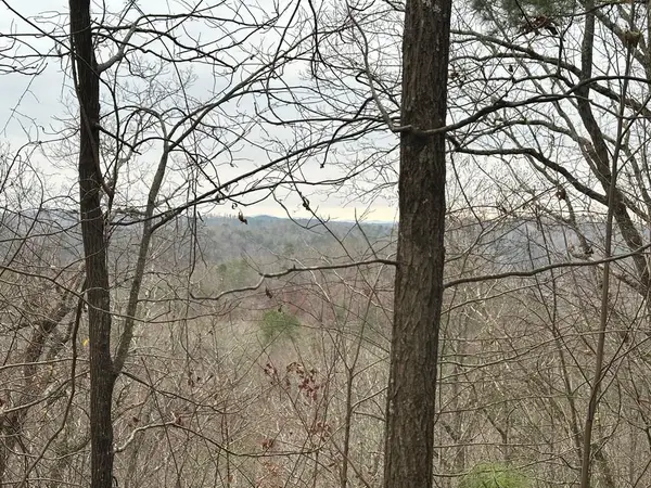 306 Oberlin Court, Ranger, GA 30734