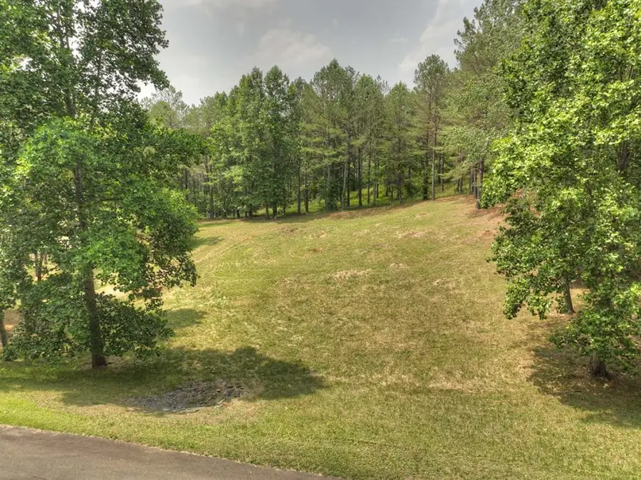 Lot 31 Eastside Drive, Ellijay, GA 30536 - Image #2