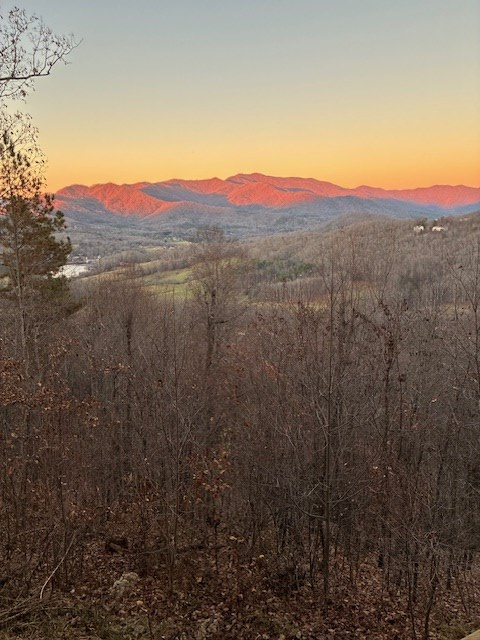 Lot 33 Eagles View, Hayesville, NC 28904 - Image #2