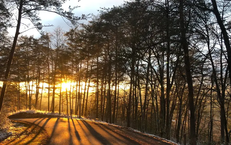 999 Blue Ridge Heights Drive, Blue Ridge, GA 30513 - Image #3