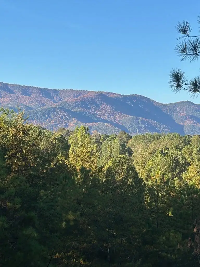 302 Chanceytown Road, Copperhill, TN 37317 - Image #2