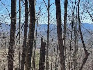 n/a Turkey Ridge, Morganton, GA 30560 - Image #1