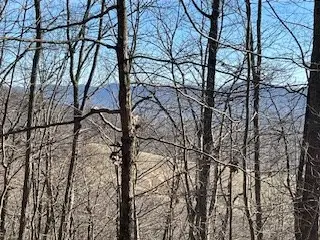 n/a Turkey Ridge, Morganton, GA 30560 - Image #3