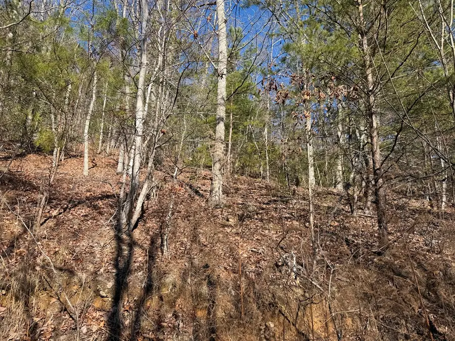 00 Mission Ridge, Hayesville, NC 28904 - Image #3