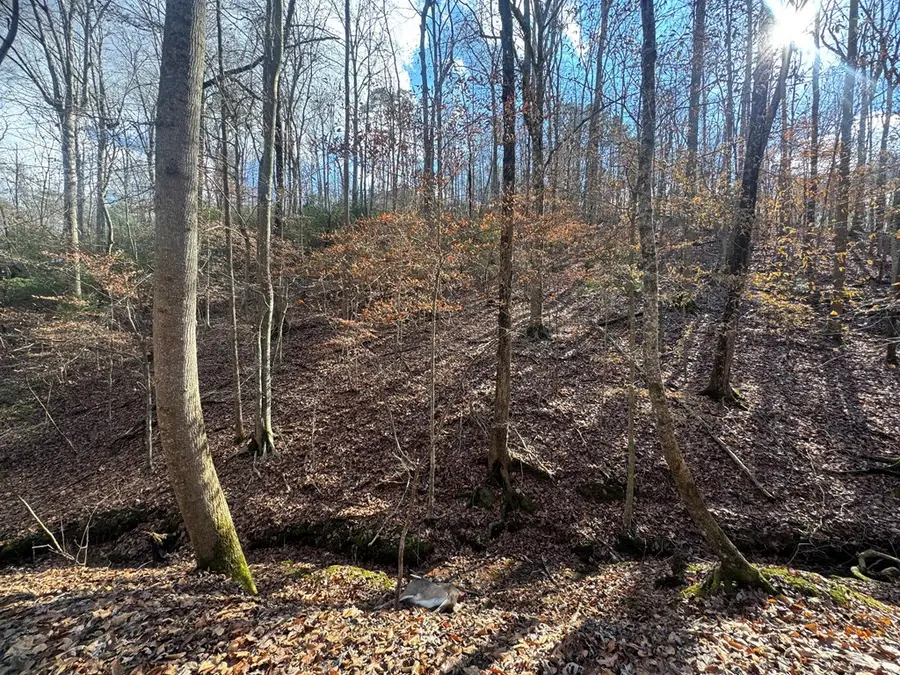 Lot 2749 Nimrod Court, Ellijay, GA 30540 - Image #3