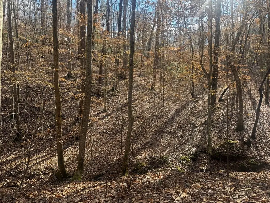 Lot 2750 Nimrod Court, Ellijay, GA 30540 - Image #1