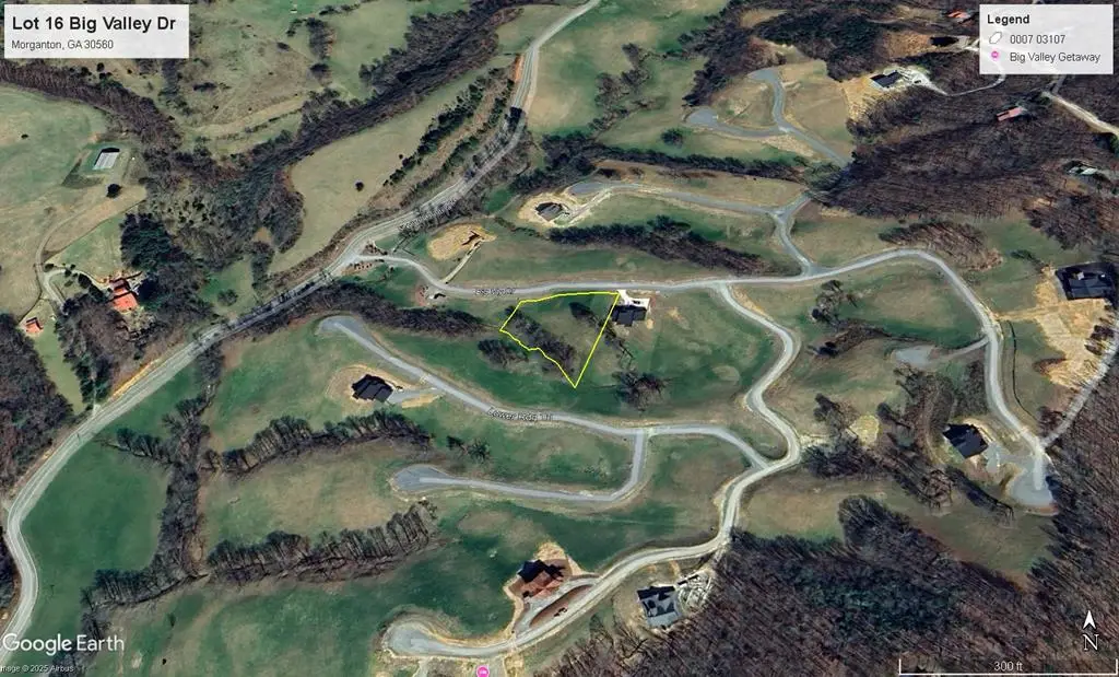 0 Big Valley Drive, Morganton, GA 30560 - Image #1