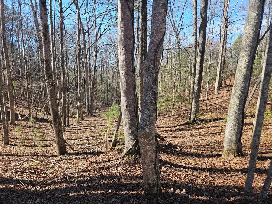 Lt 1405 Malory Circle, Ellijay, GA 30540 - Image #2