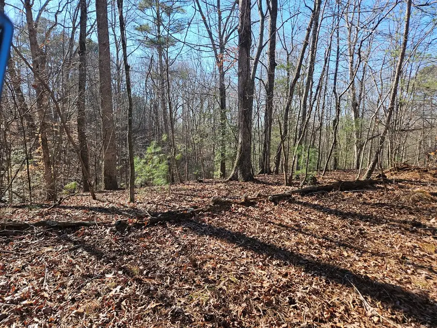 Lt 1405 Malory Circle, Ellijay, GA 30540 - Image #3