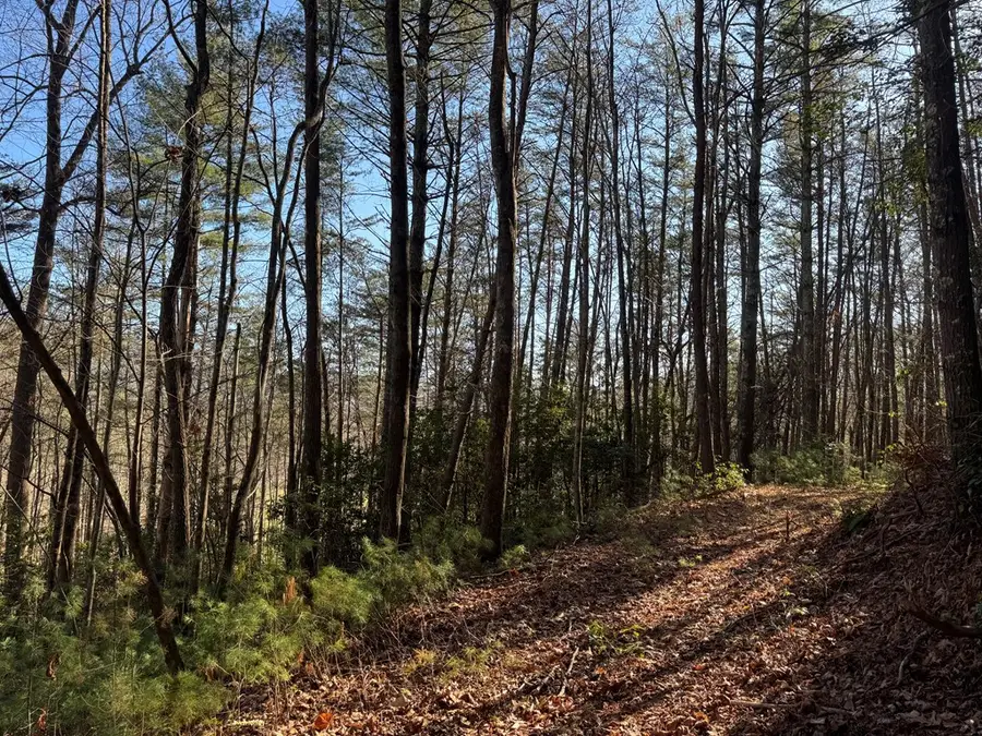 Tract 1 Fain Branch Road, Blairsville, GA 30512 - Image #3