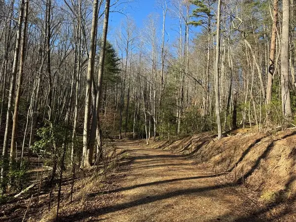 Tract 2 Fain Branch Road, Blairsville, GA 30512