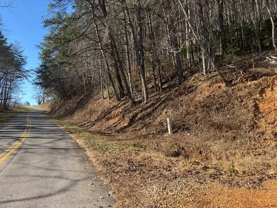 Tract 4 Fain Branch Road, Blairsville, GA 30512 - Image #2