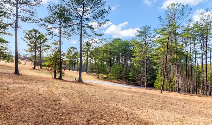 LOT 87 Creek Hollow Lane, Blairsville, GA 30512 - #2