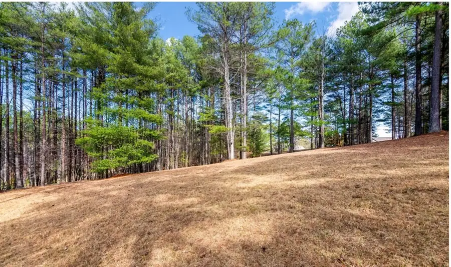 LOT 87 Creek Hollow Lane, Blairsville, GA 30512 - #3