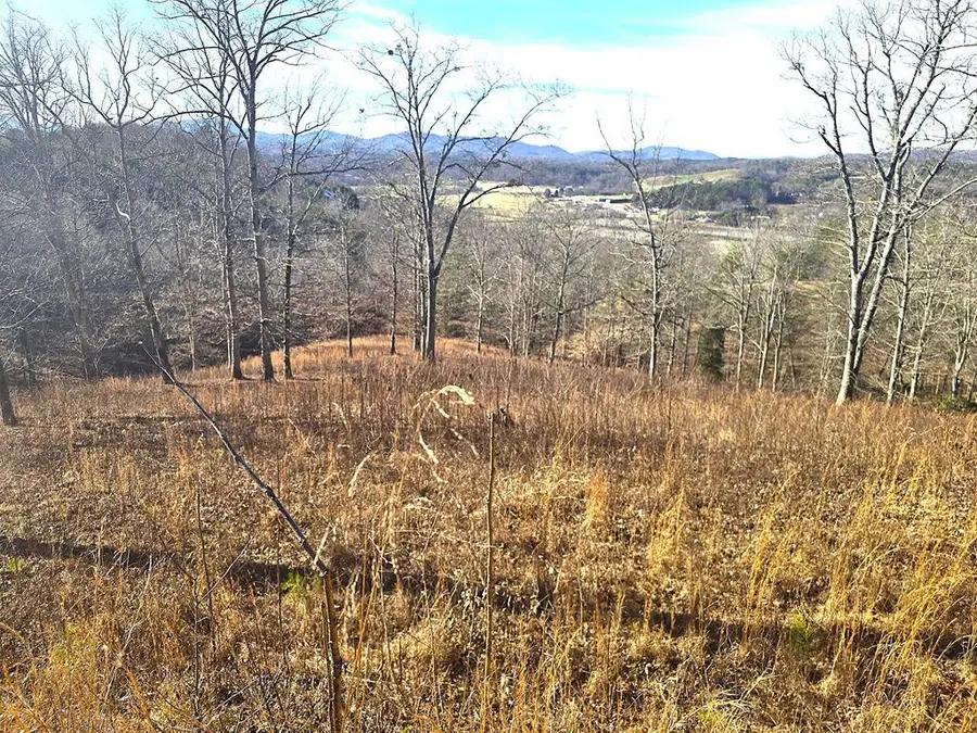 00 Hillside Drive, Warne, NC 28909 - Image #2