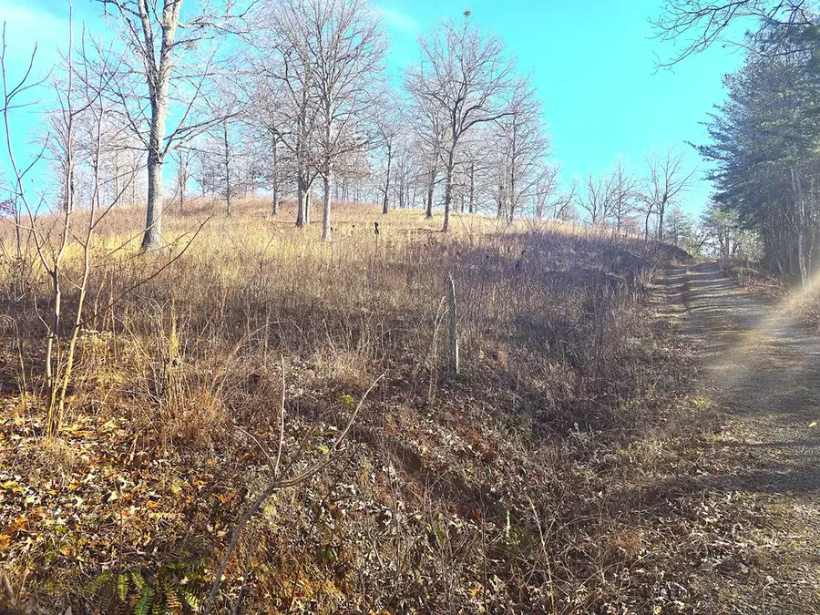 00 Hillside Drive, Warne, NC 28909 - Image #3