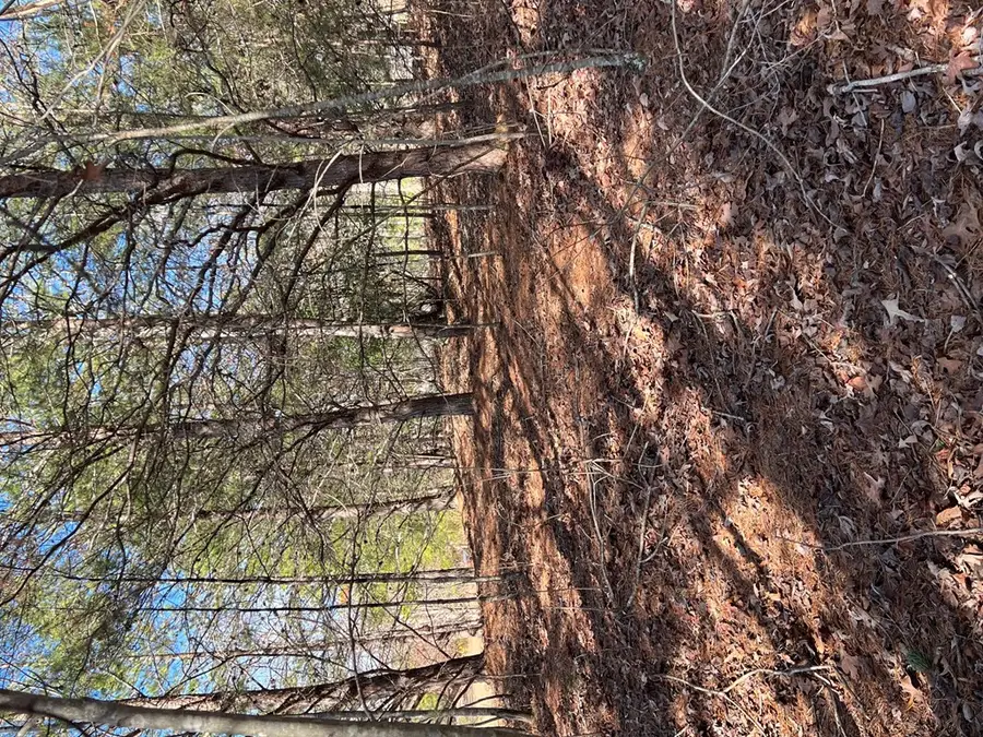 13 Gladys Lane, Young Harris, GA 30582 - Image #2