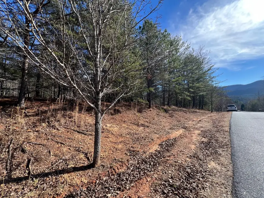 13 Gladys Lane, Young Harris, GA 30582 - Image #3