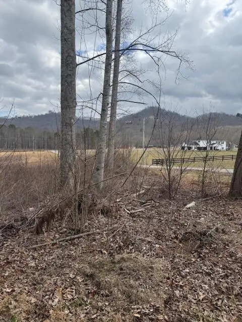 1 & 1A Sneaking Creek Drive, Hayesville, NC 28904 - Image #2