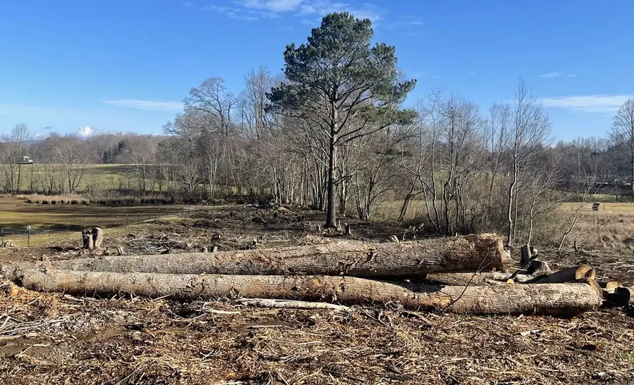 1 & 1A Sneaking Creek Drive, Hayesville, NC 28904 - Image #3