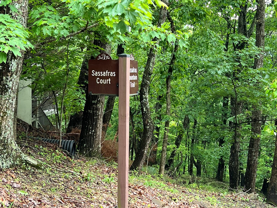 0 Sassafras Court, Jasper, GA 30143 - Image #3