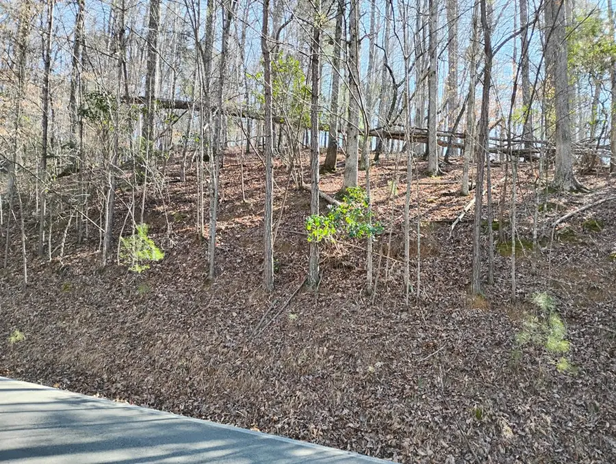 Lt 2090R Newport Drive, Ellijay, GA 30540 - Image #3