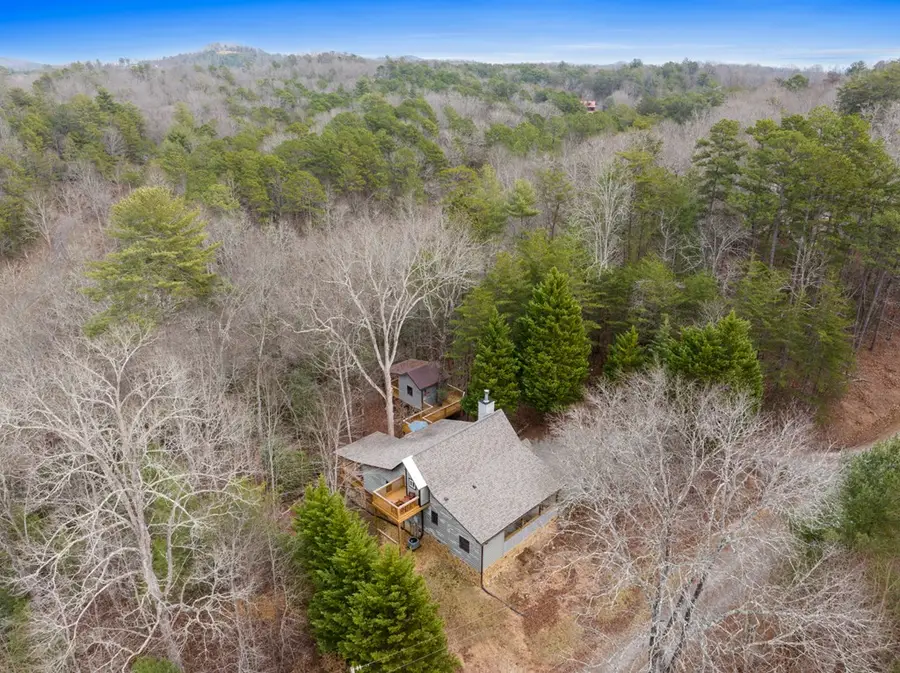 290 Turkey Trot, Morganton, GA 30560 - Image #3